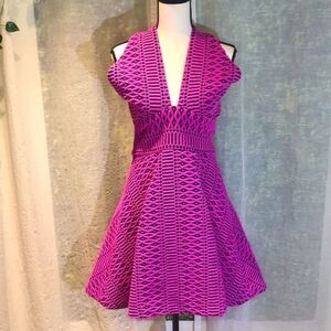 Hunter Bell hot pink and navy blue Dress